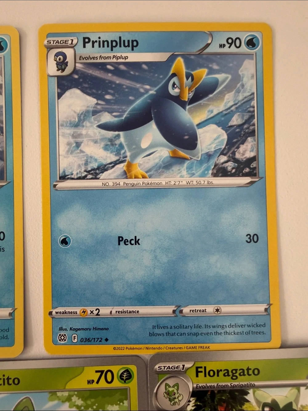 ⭐ Pokémon Starter Evolution Lot | Piplup Fuecoco Sprigatito Froakie Quaxly Sobbl